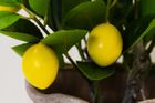 Artificial Lemon and Olive Trees