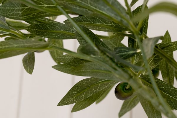 Artificial Lemon and Olive Trees