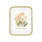 Contour Classics – New Spring 5×7 Photo Frame Collection