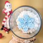 White Christmas Limited Edition