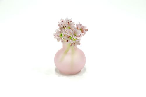 Glass Flower Set
