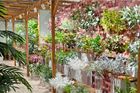 Artificial Foliage & Trees