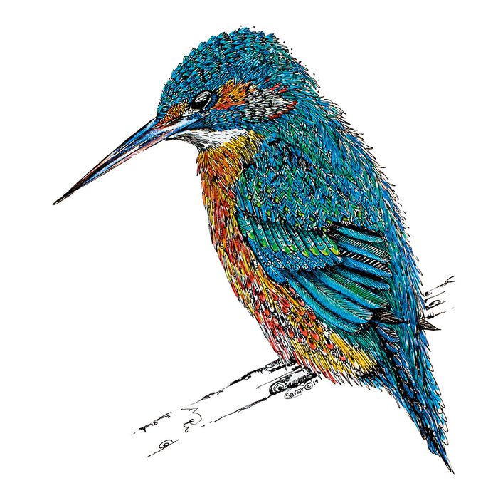 Sarah Capper greeting cards range