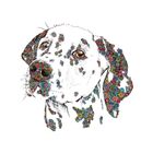 Sarah Capper greeting cards range