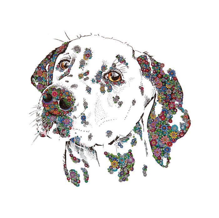 Sarah Capper greeting cards range
