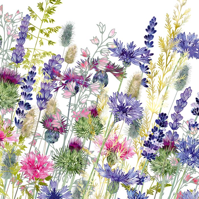 Fiona Calder greeting cards range