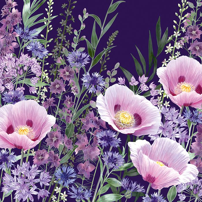 Fiona Calder greeting cards range