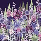 Fiona Calder greeting cards range
