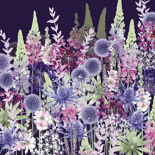 Fiona Calder greeting cards range
