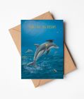 Ocean Range