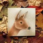 Woodland Collection
