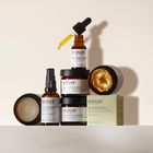 Evolve Organic Beauty