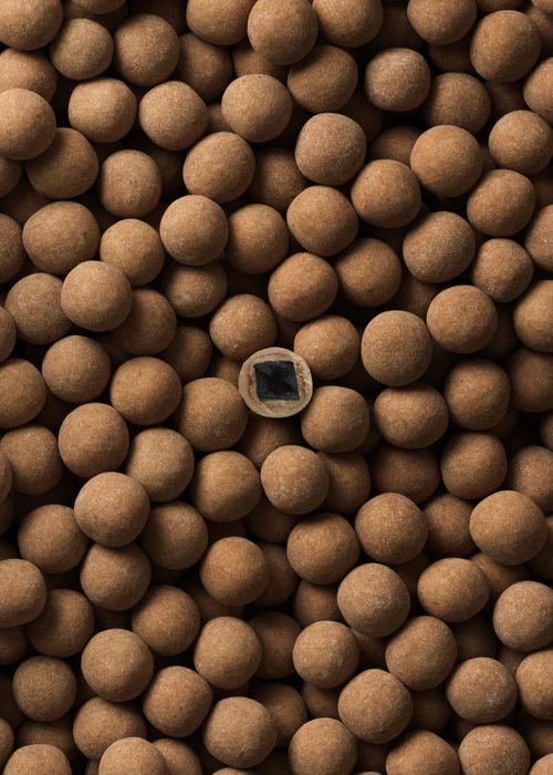 D - salt & caramel