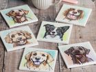 Coasters