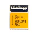 Challenge - Panel Pins and Tacks!