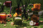 Aromabotanical