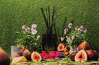 Aromabotanical