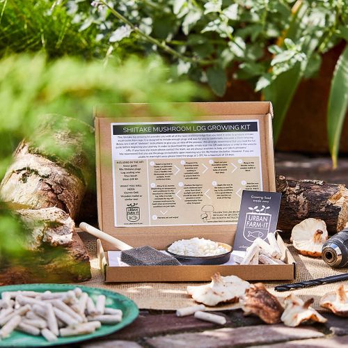 How To Grow Mushrooms From The Log Kit