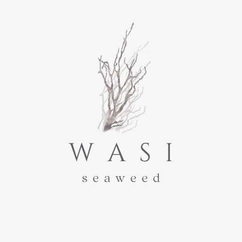 WASI Seaweed