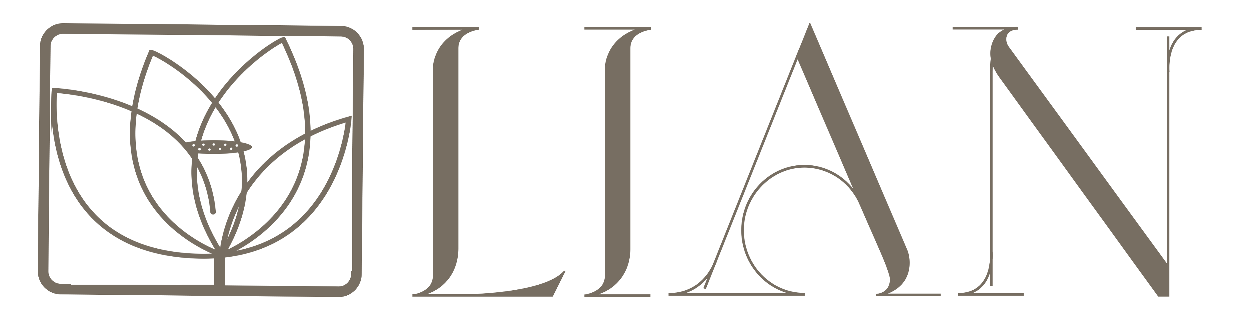 Lian Cultural Heritage Ltd