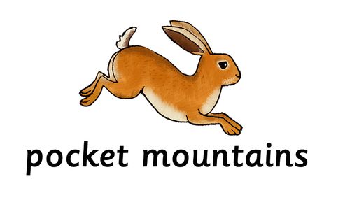 Pocket Mountains Ltd