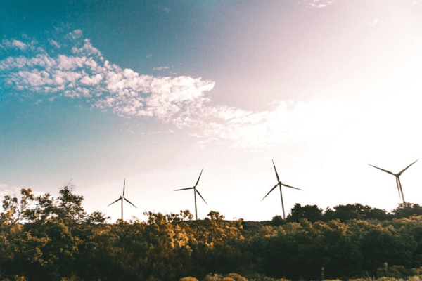 Improving your Supply Chain's Sustainability Impact