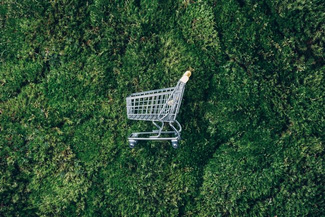 Sustainable Store Design: Creating Eco-Friendly Retail Spaces