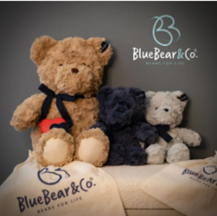 Nicola Robinson - Blue Bear & Co.