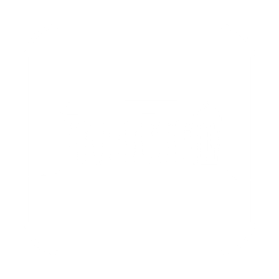 Government icon