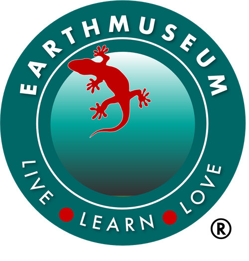 The Earth Museum