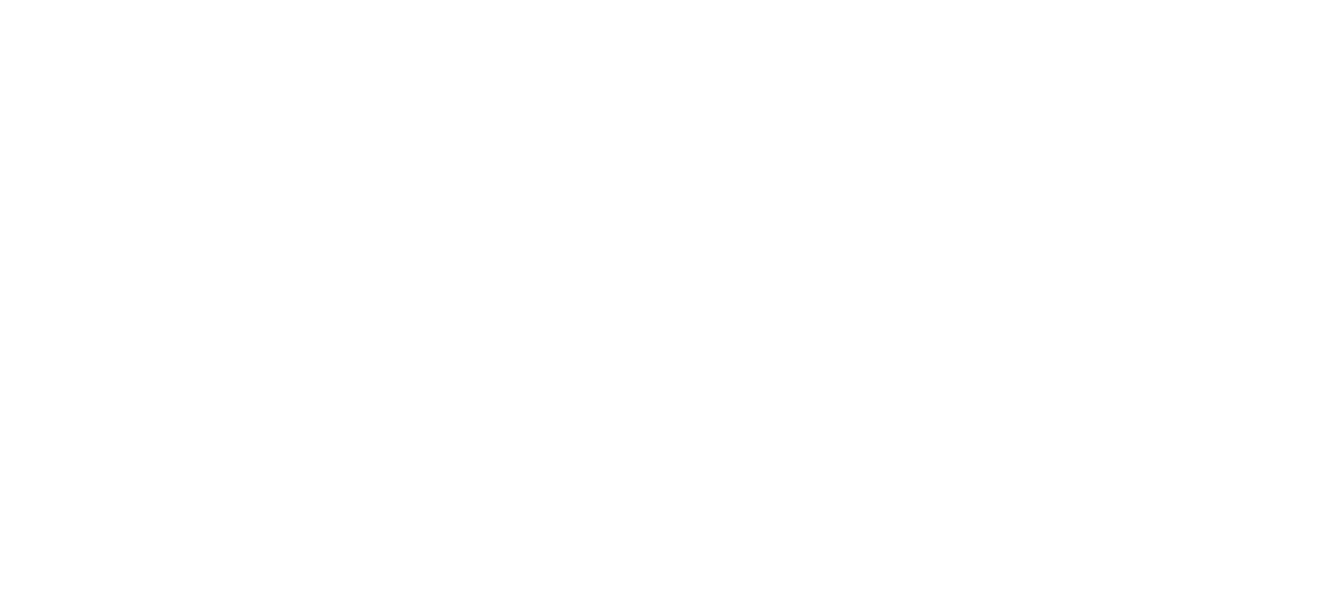 Besa Logo