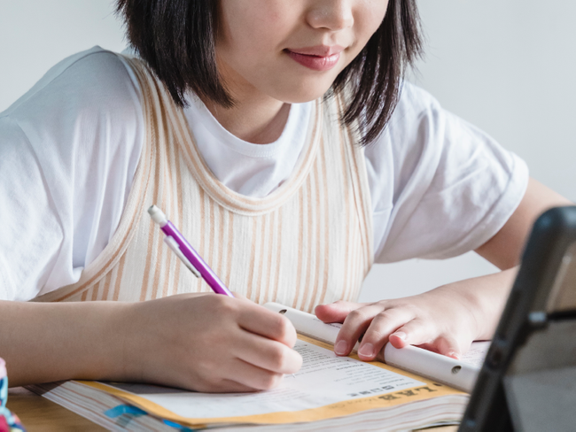 Tecnologia e a personaliza&ccedil;&atilde;o do ensino
