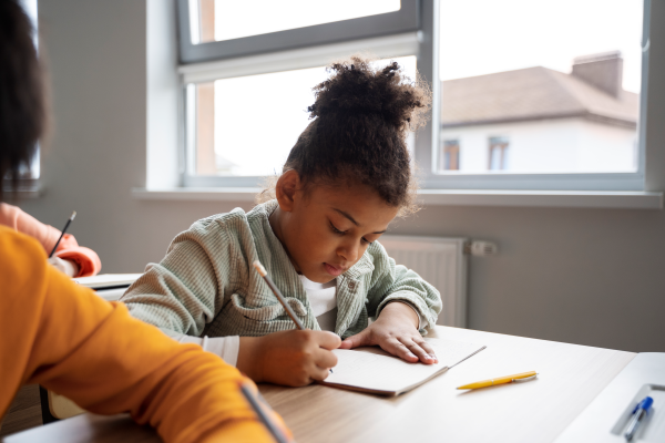 A import&acirc;ncia em potencializar o c&eacute;rebro na escola