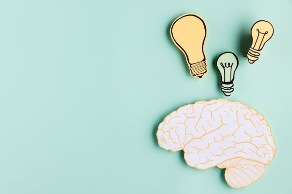 As contribui&ccedil;&otilde;es neurocient&iacute;ficas nas pr&aacute;ticas pedag&oacute;gicas no ensino superior