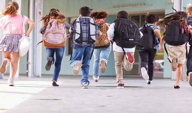 Educa&ccedil;&atilde;o Privada &eacute; respons&aacute;vel por 1,65% do PIB gerando R$ 126,5 milh&otilde;es para o Brasil