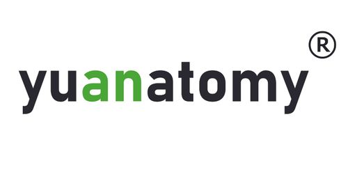 Anhui Yuan Technology Limited