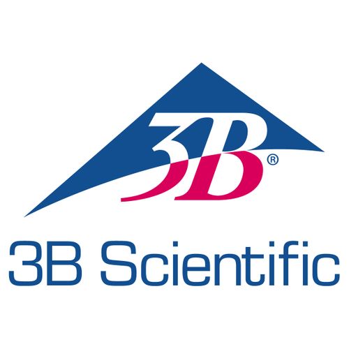 3B SCIENTIFIC