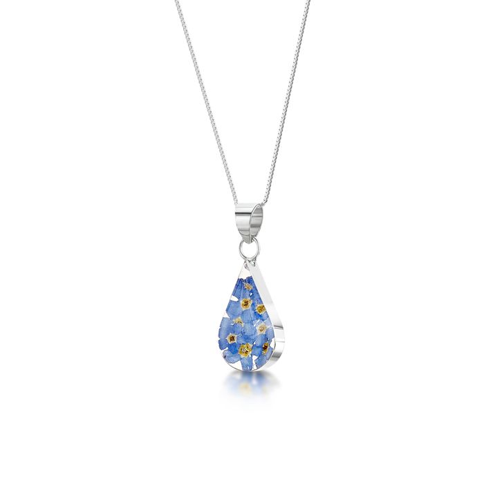 Forget me not Collection