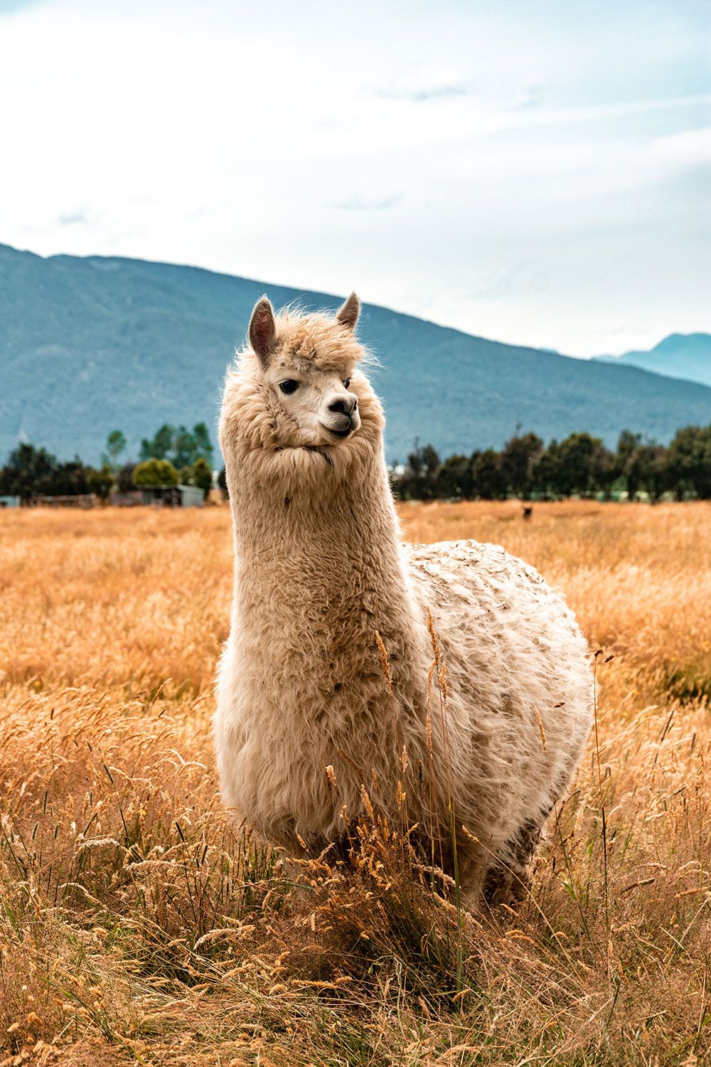 Peru