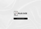 JC Plus Size/ Secondary Brands/ PCJ Brands