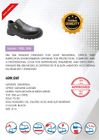Safety Shoe