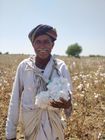 ORGANIC COTTON FARM VISIT