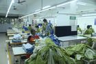 Herbal Fab - Factory Images (Stitching and Checking)