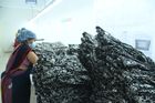 Herbal Fab - Factory Images (Packing Department)