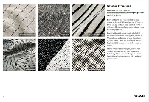 WGSN article
