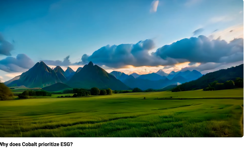 Cobalt ESG Goals and Strategies