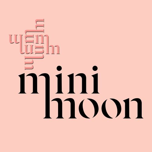 MINI MOON INTERNATIONAL CO.,LIMITED
