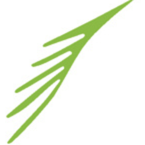 Xiamen Chic Wings Innovation Co.,Ltd