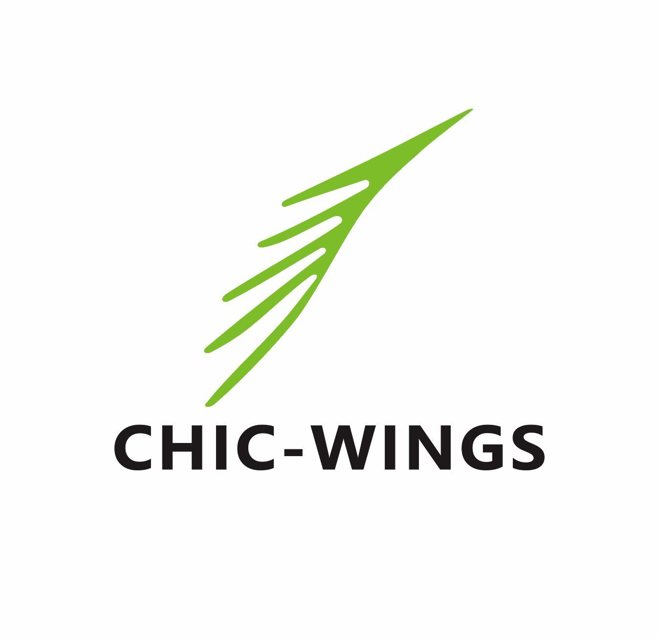 XIAMEN CHIC WINGS INNOVATION CO., LTD.