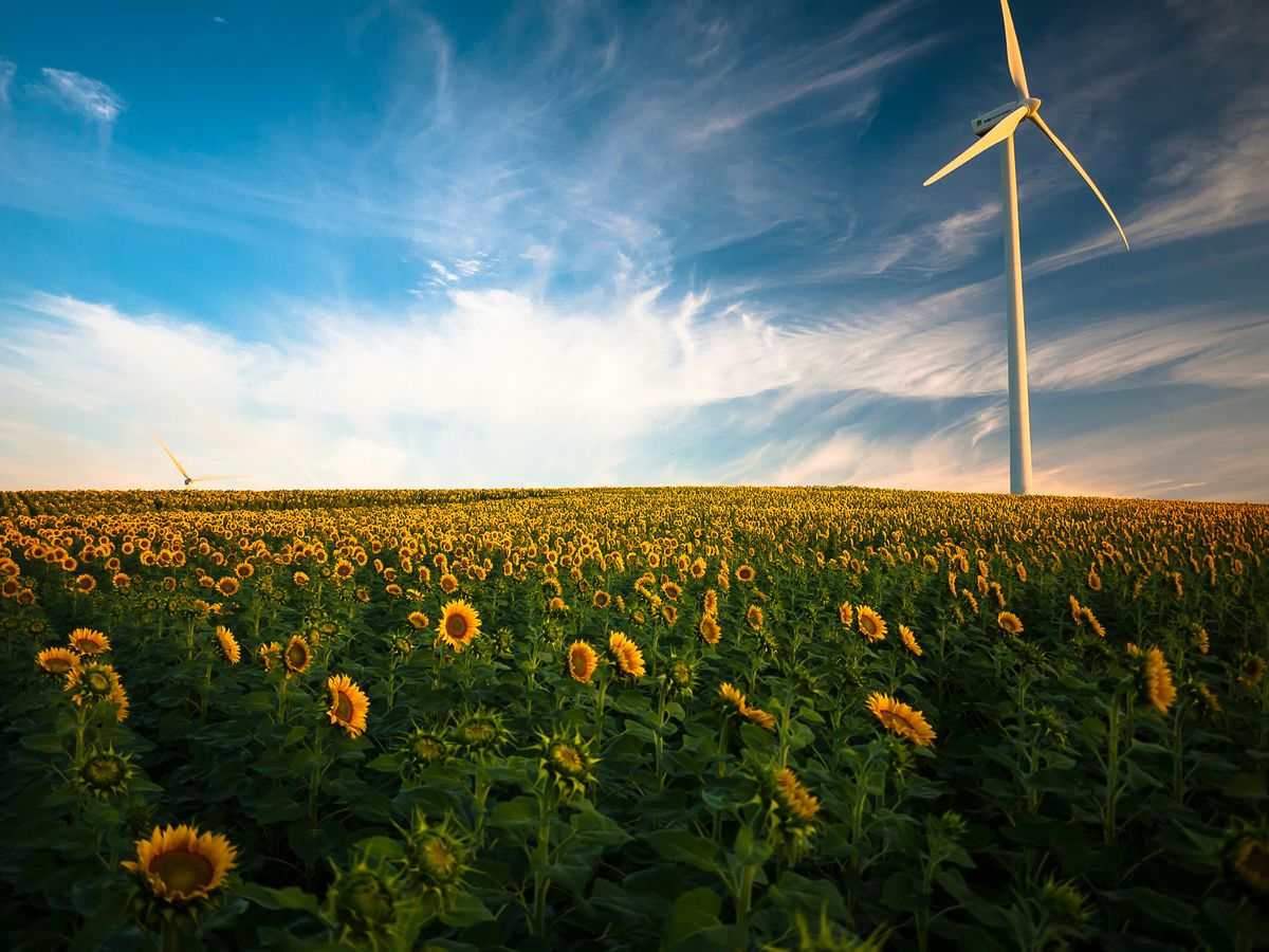 Is the fashion industry taking net zero seriously?
